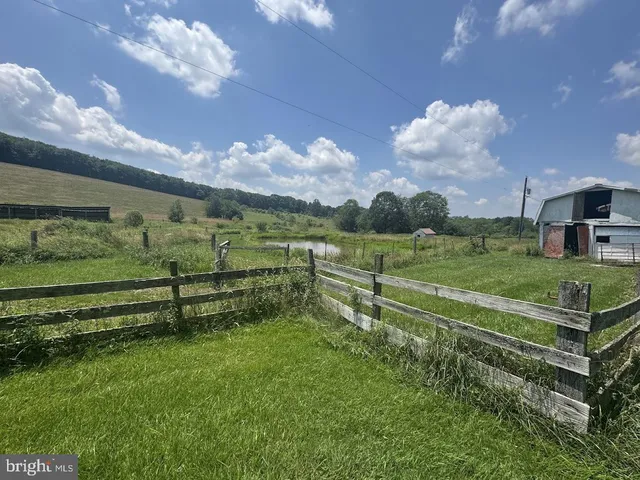a view of a garden with an outdoor space
