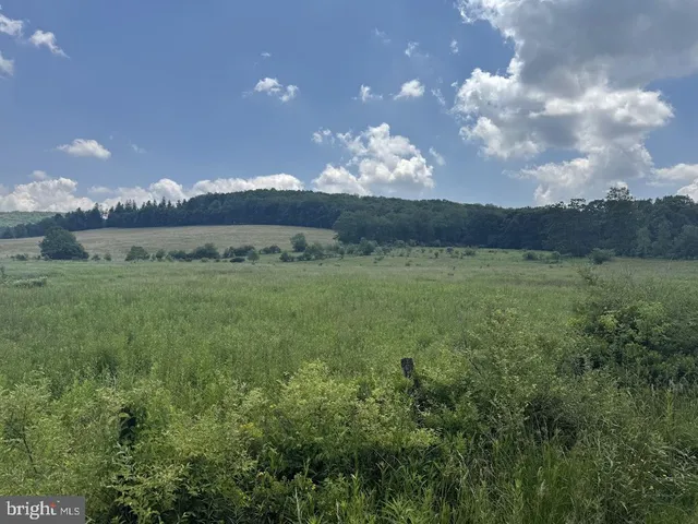 a view of a big yard with lots of green space and mountain view