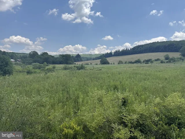 a view of a tennis court