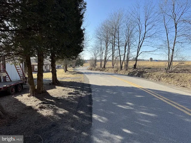 a view of dirt yard with a large tree