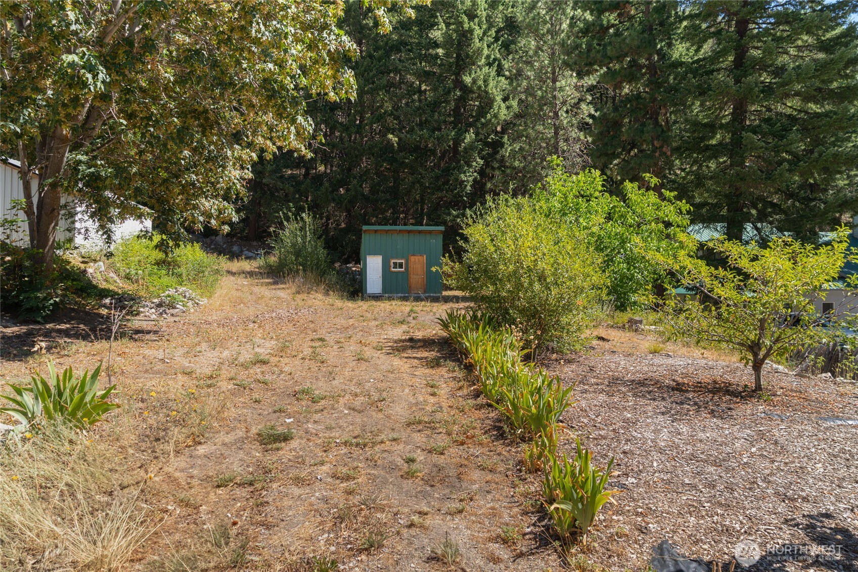 17976 Entiat River Road Entiat, WA 98822 - Photo 39 of 40 a view of a backyard with plants and large trees