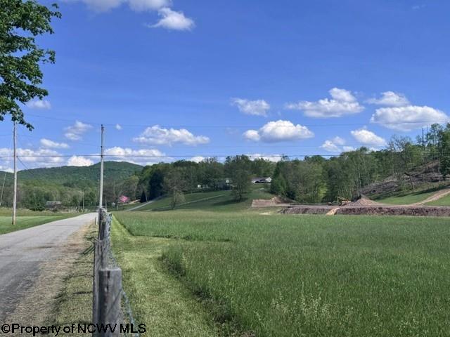 Tbd Shaffers Run Road Mill Creek, WV 26280 - Photo 39 of 43 Gallery Image 39