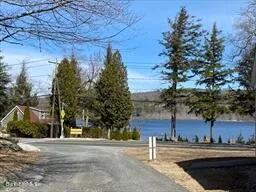 a view of a yard