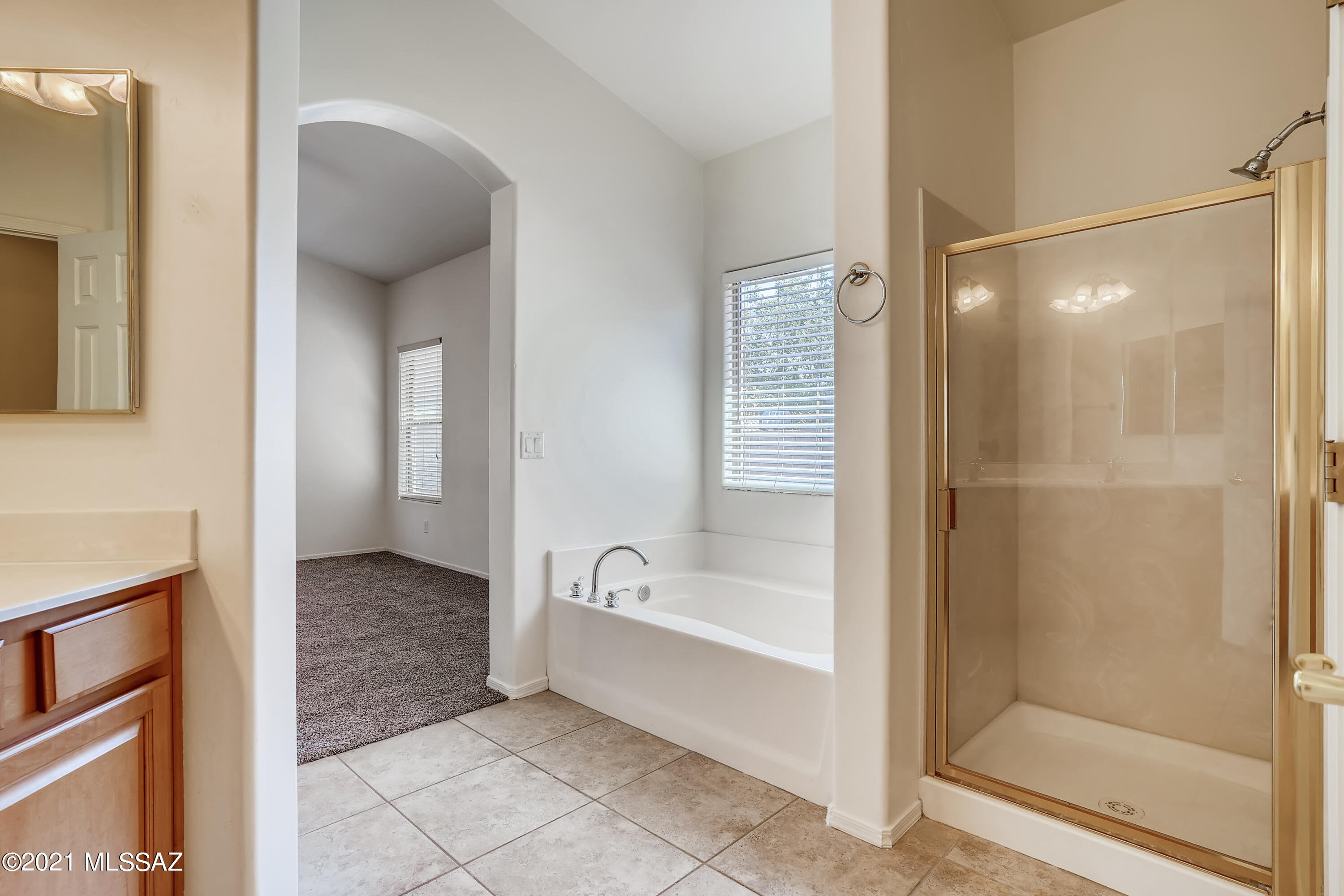 60846 Rock Ledge Loop Tucson, AZ 85739 - Photo 23 of 33