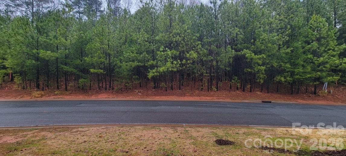 1510 Reflection Pointe Boulevard Belmont, NC 28012 - Photo 1 of 11 a view of a yard