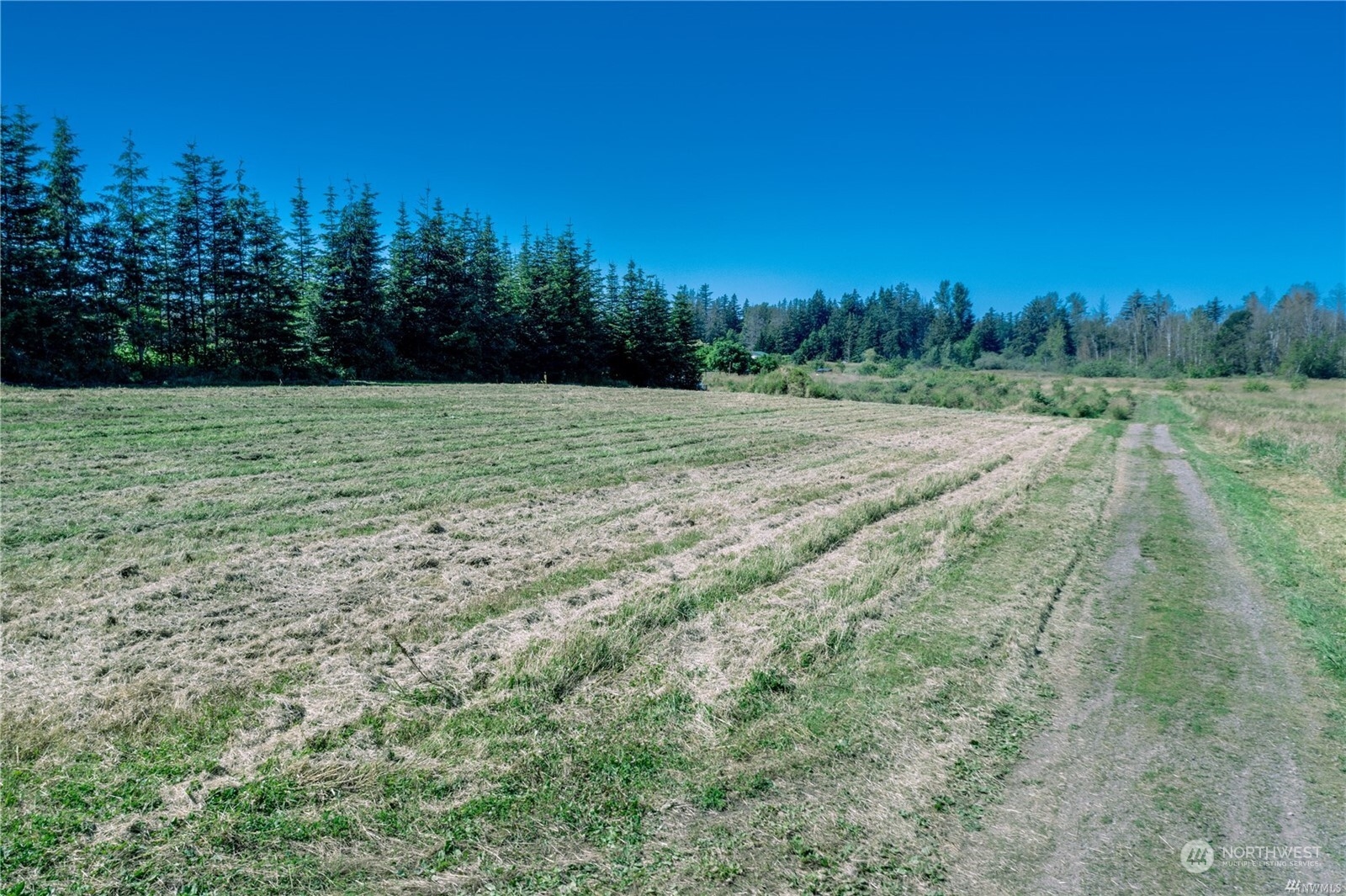 2152 East Hemmi Road Bellingham, WA 98226 - Photo 26 of 31