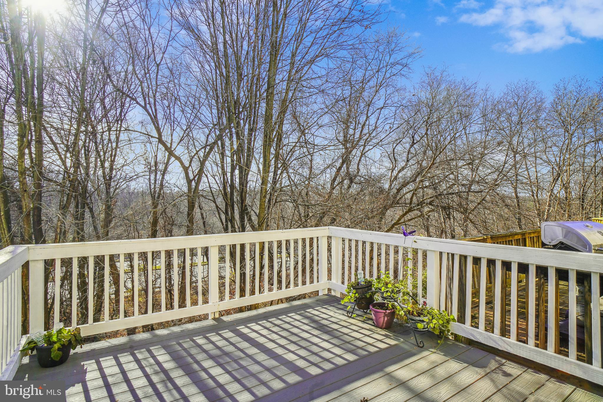 53 Inkberry Circle Gaithersburg, MD 20877 - Photo 16 of 51 Gallery Image 16