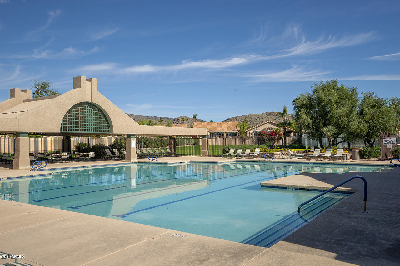 2743 East Rockledge Road Phoenix, AZ 85048 - Photo 24 of 28 Gilmore Rockledge Pool Pic 2