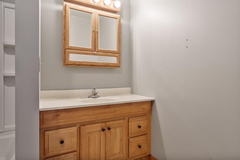 15685 West State Road Pecatonica, IL 61063 - Photo 32 of 69 a bathroom with a sink and a mirror