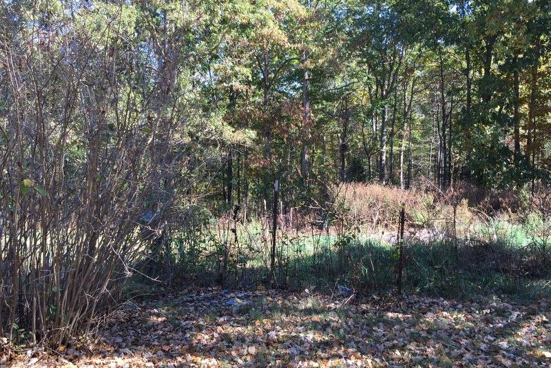 2615 Nubbin Ridge Road Dickson, TN 37055 - Photo 17 of 19 Gallery Image 17