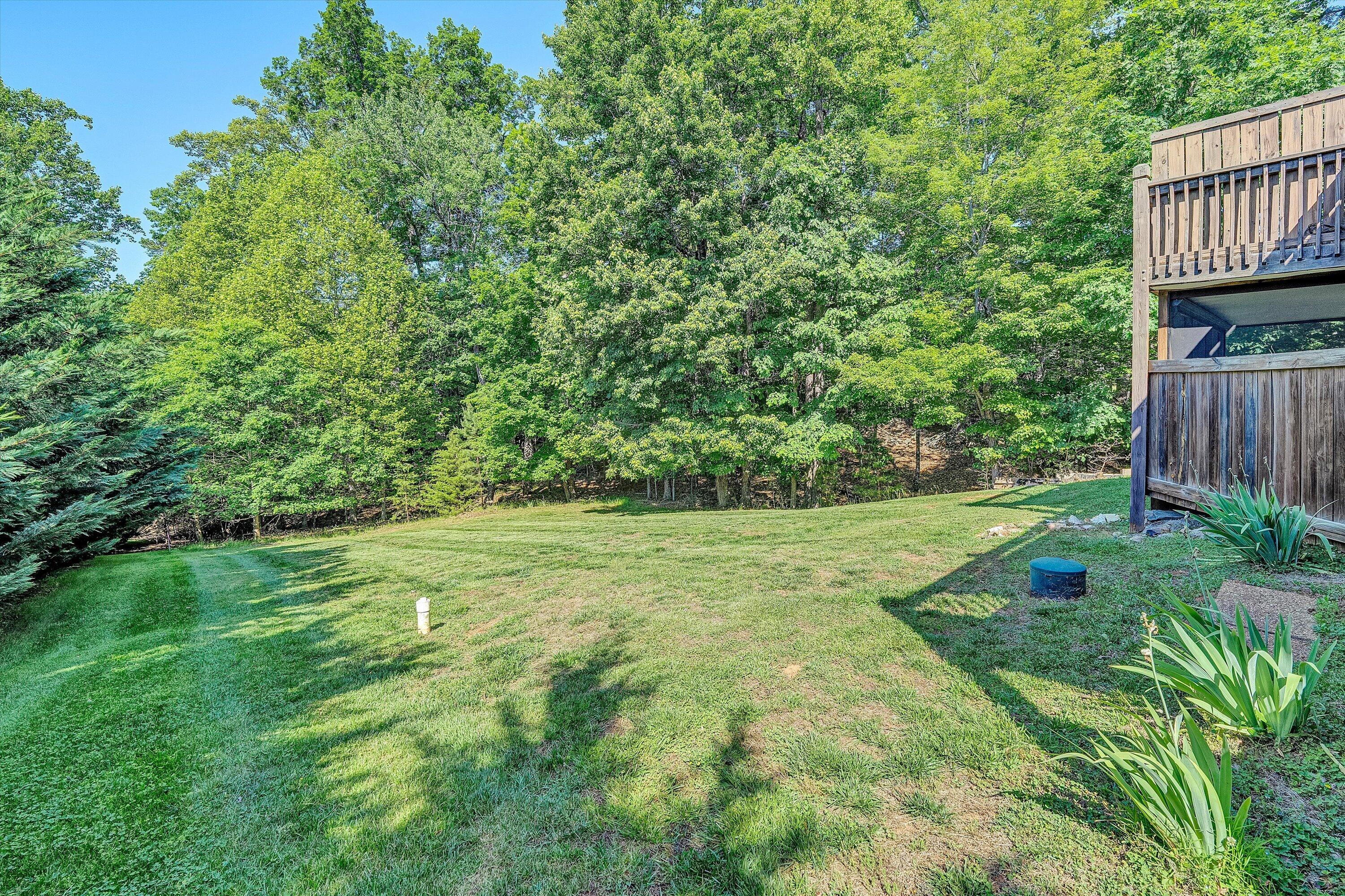 400 Harbor Moneta, VA 24121 - Photo 39 of 51 a view of yard and trees