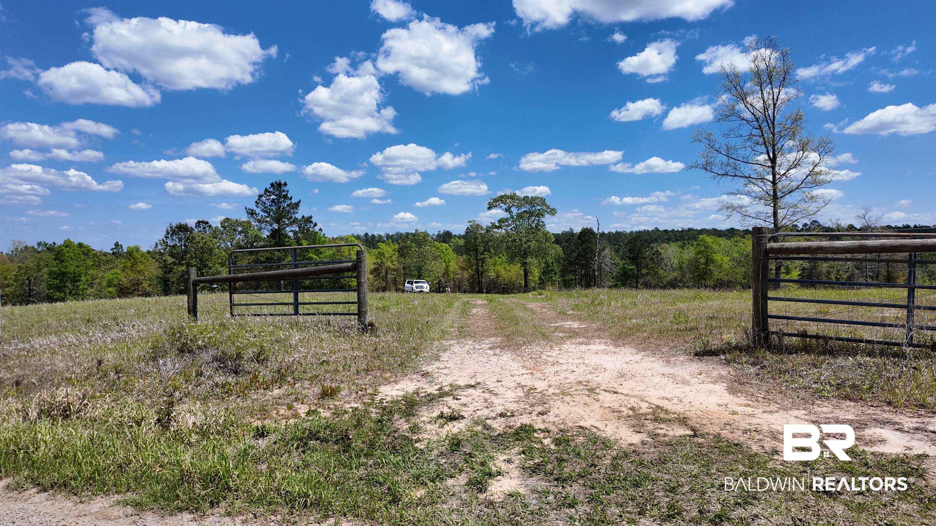 0 Powell Road Eight Mile, AL 36613 - Photo 15 of 57