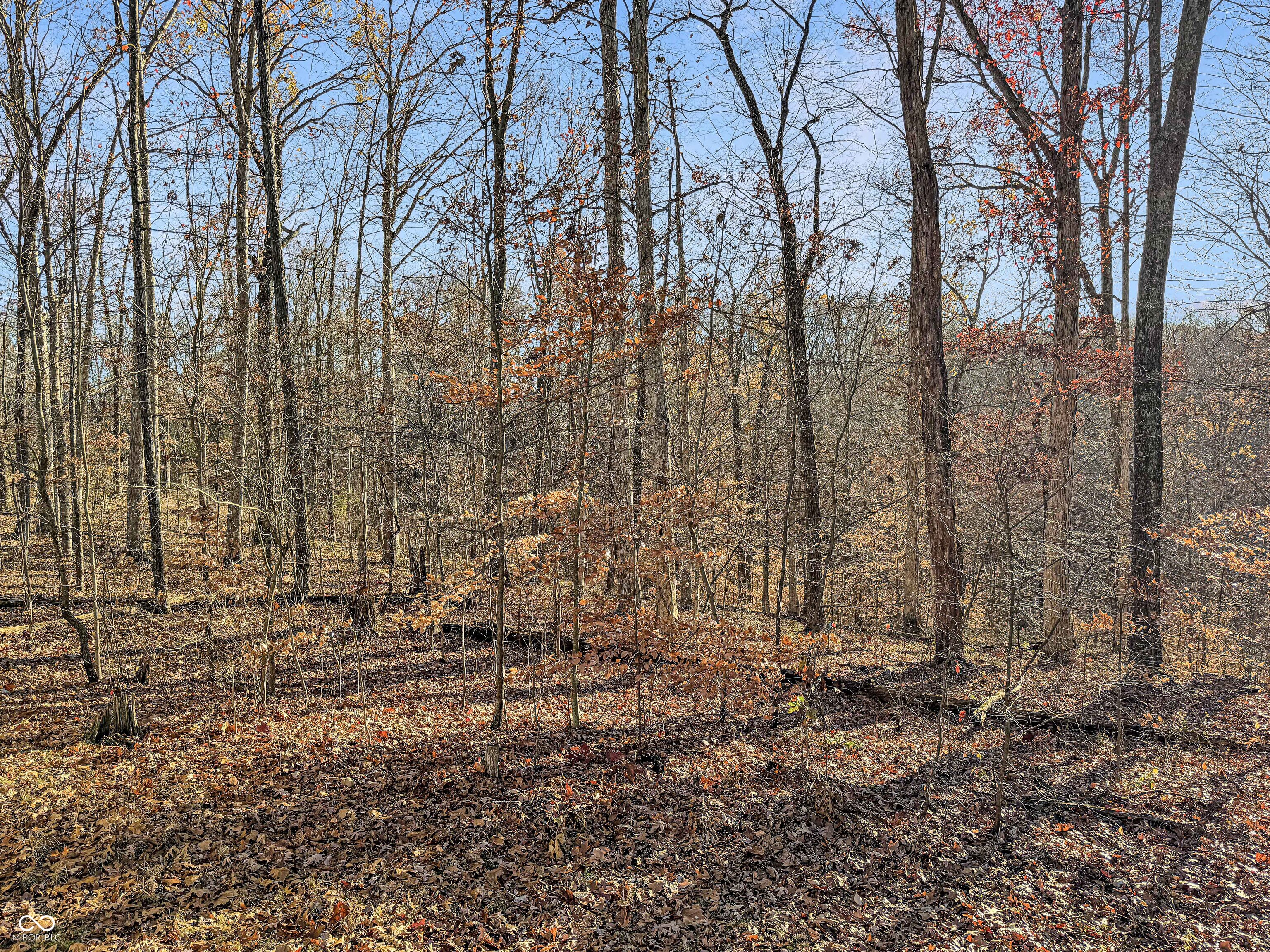 4355 East Streacher Road Bloomington, IN 47408 - Photo 13 of 15