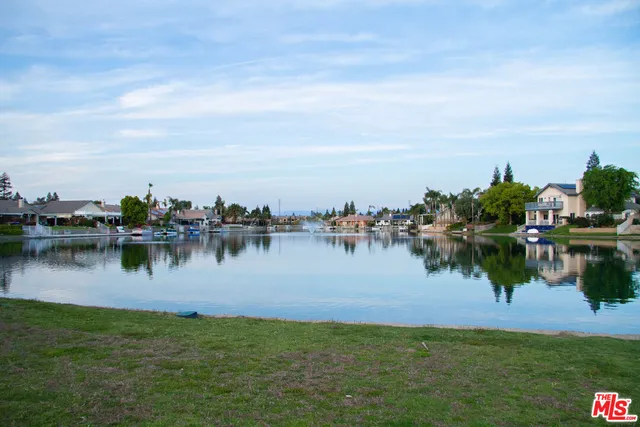 a view of a park with palm trees