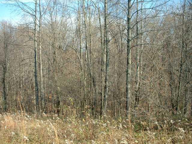 10944 Clearport Road Southwest Amanda, OH 43102 - Photo 1 of 3
