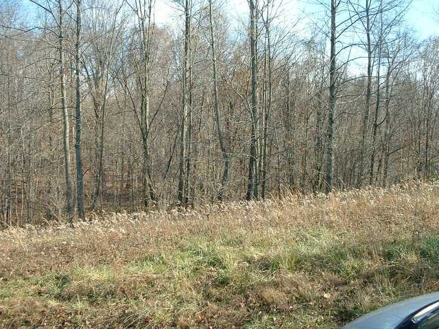 10944 Clearport Road Southwest Amanda, OH 43102 - Photo 3 of 3