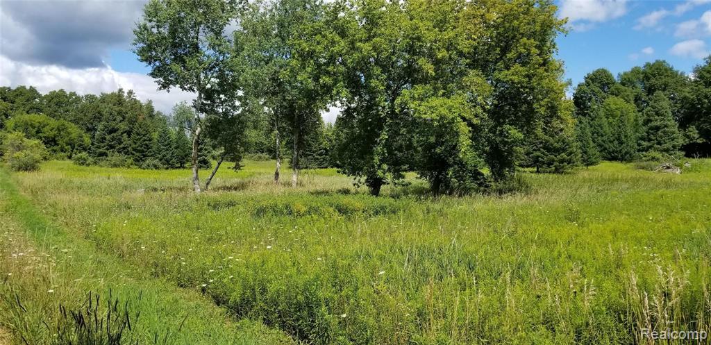 0 Brauer Road Metamora, MI 48455 - Photo 6 of 7