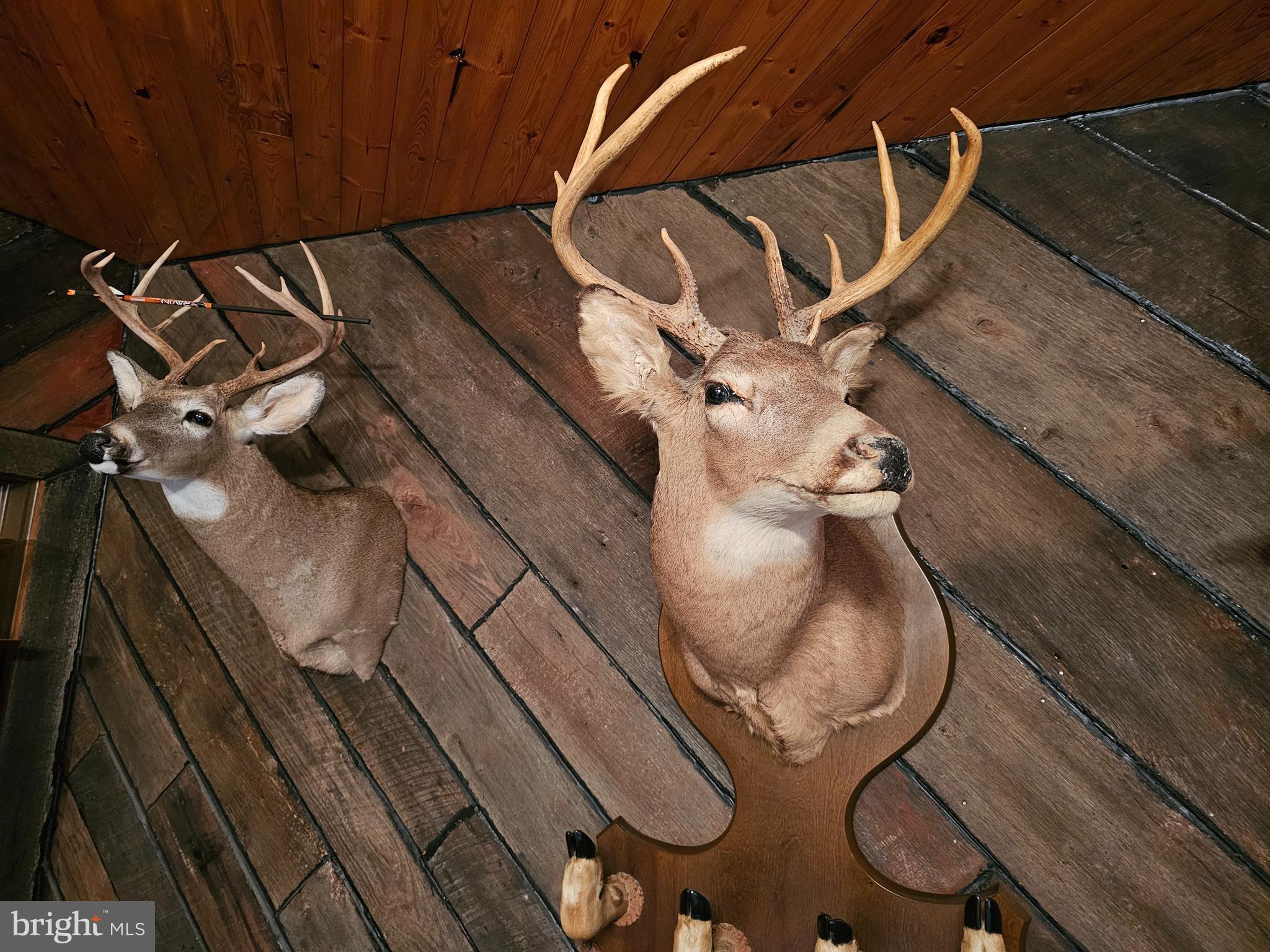 Walnut Ridge Road Oldtown, MD 21555 - Photo 4 of 7