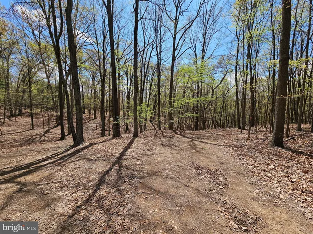 $770,500 | Walnut Ridge Road, Oldtown, MD 21555