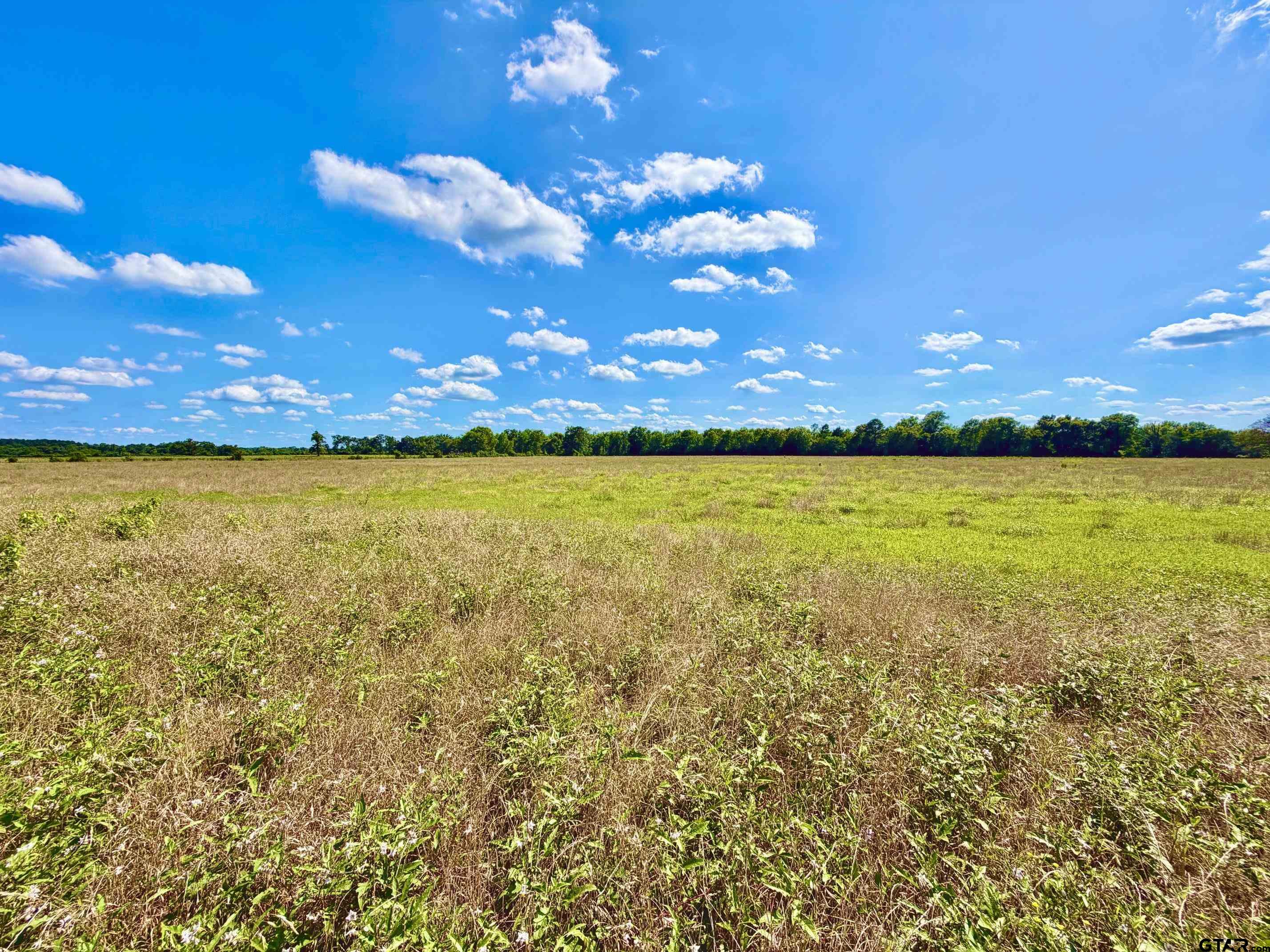 Tbd Cooper Settlement Road Crockett, TX 75835 - Photo 8 of 11