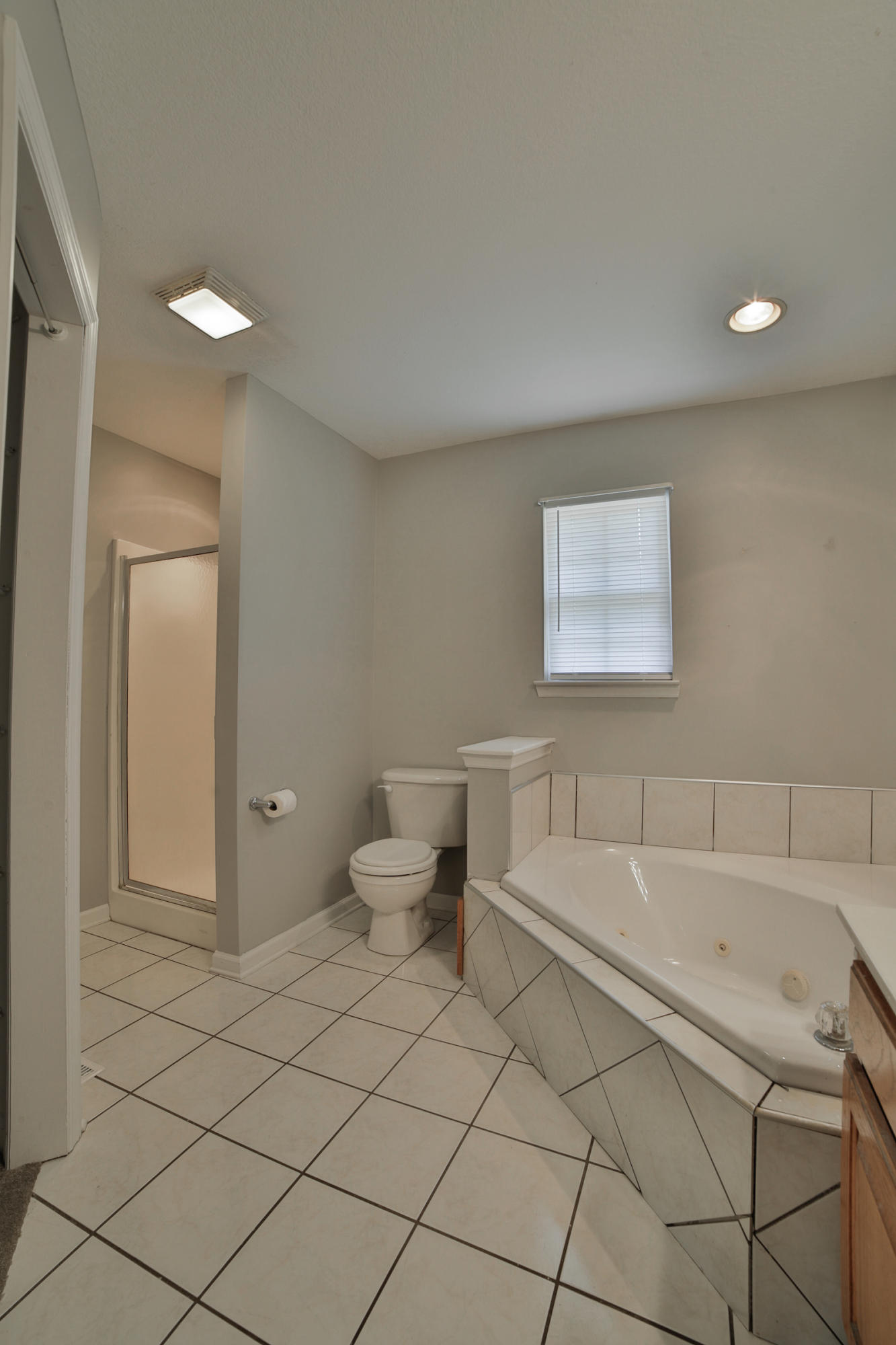 2188 Davis Ridge Road Ringgold, GA 30736 - Photo 18 of 28 Jetted tub
