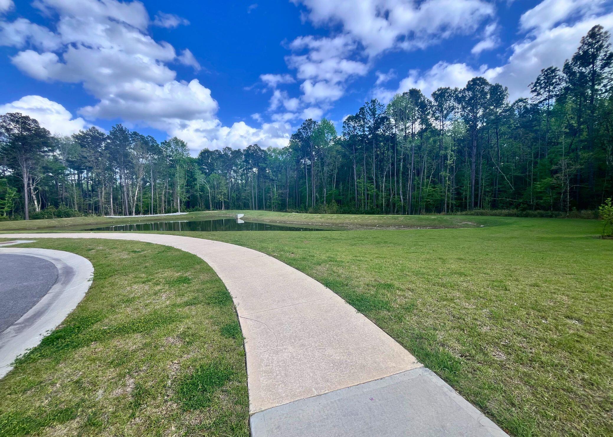 529 Shady Maple Street Moncks Corner, SC 29461 - Photo 27 of 28 33