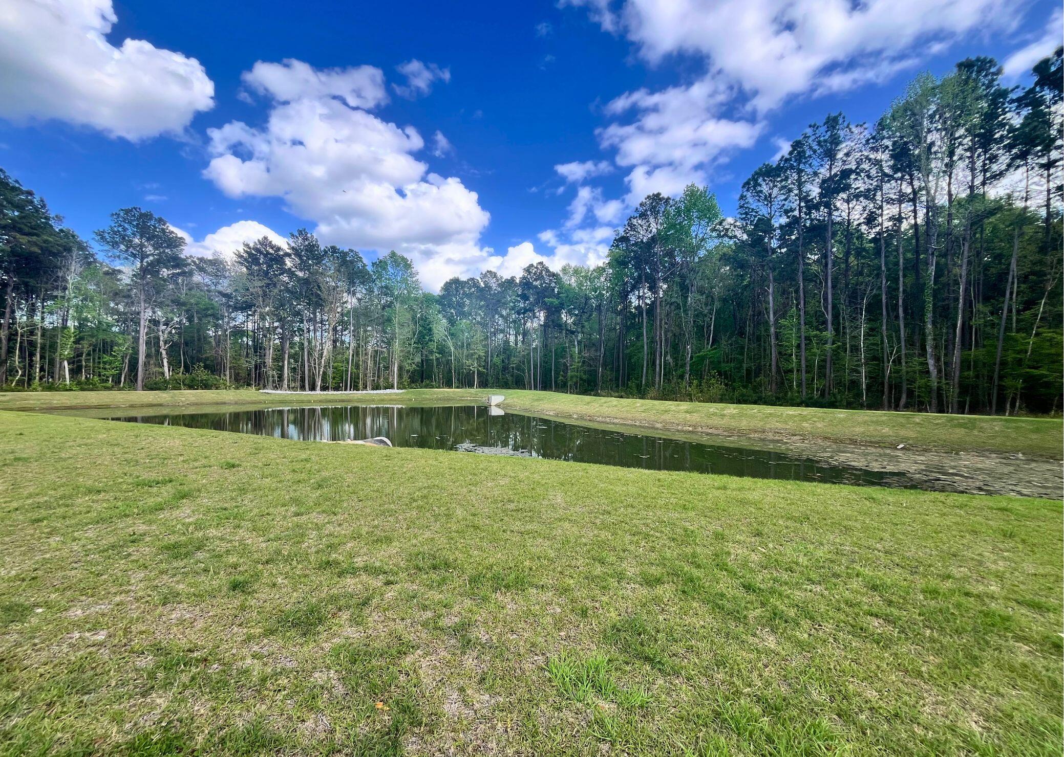 529 Shady Maple Street Moncks Corner, SC 29461 - Photo 28 of 28 34