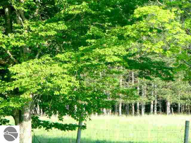 2980 Heath Road Lupton, MI 48635 - Photo 11 of 13 1755013-10.JPG