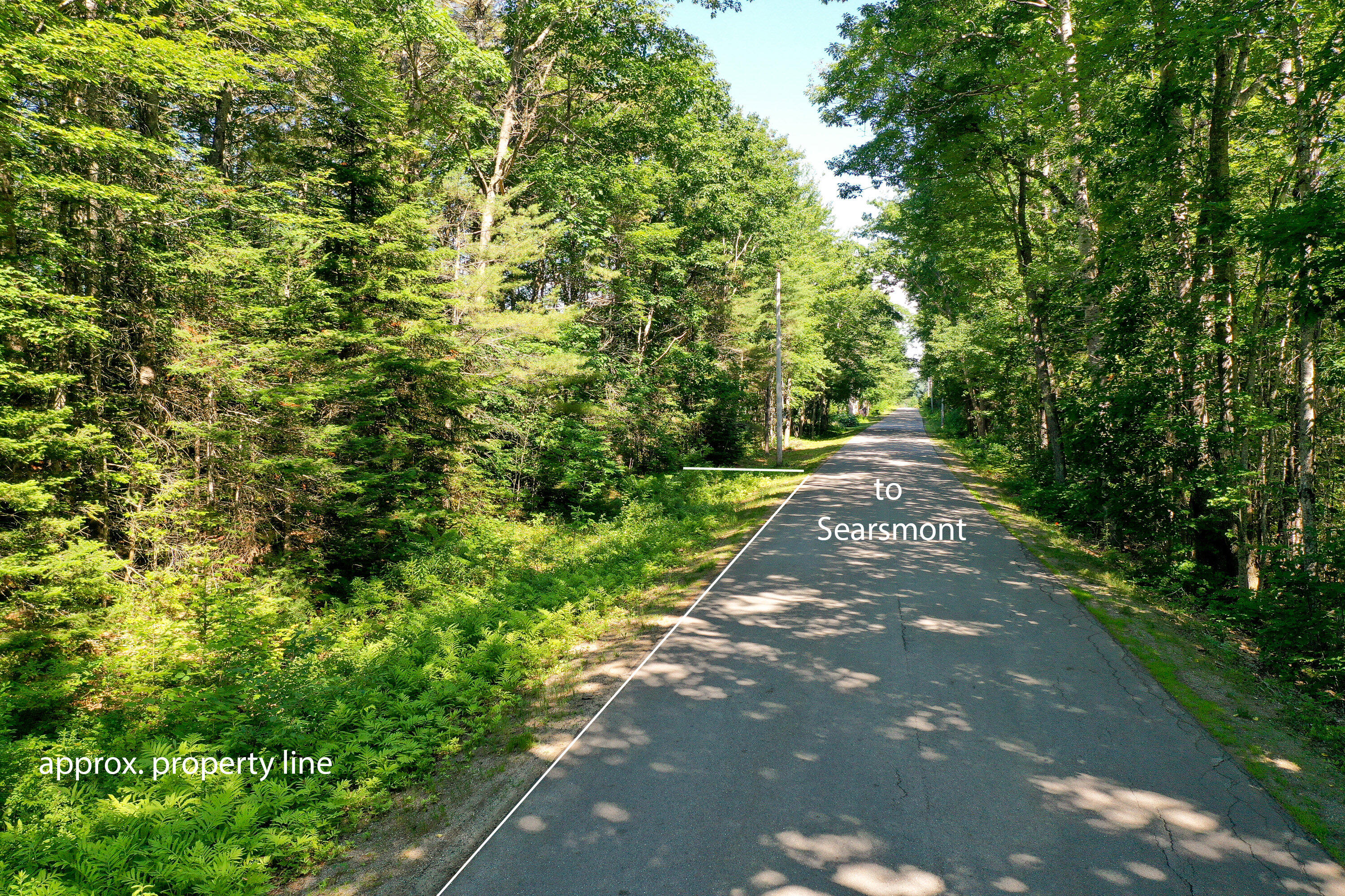 Lot 5.1 Muzzy Ridge Road Searsmont, ME 04973 - Photo 10 of 11 0701