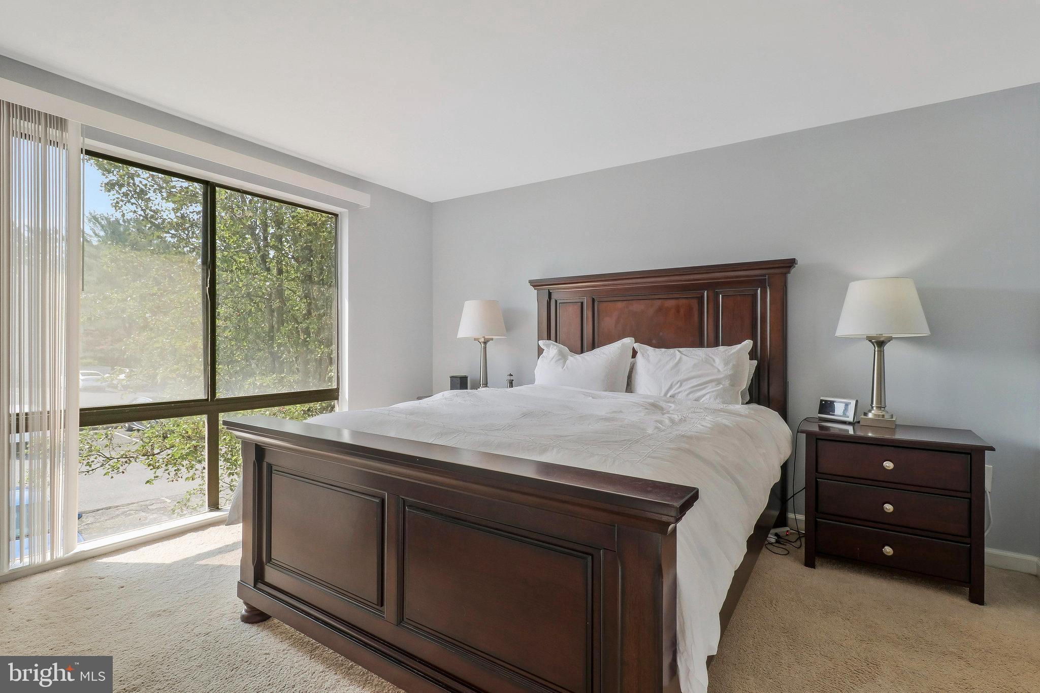 7900 Spring Forest Court Springfield, VA 22152 - Photo 30 of 45 Primary Room