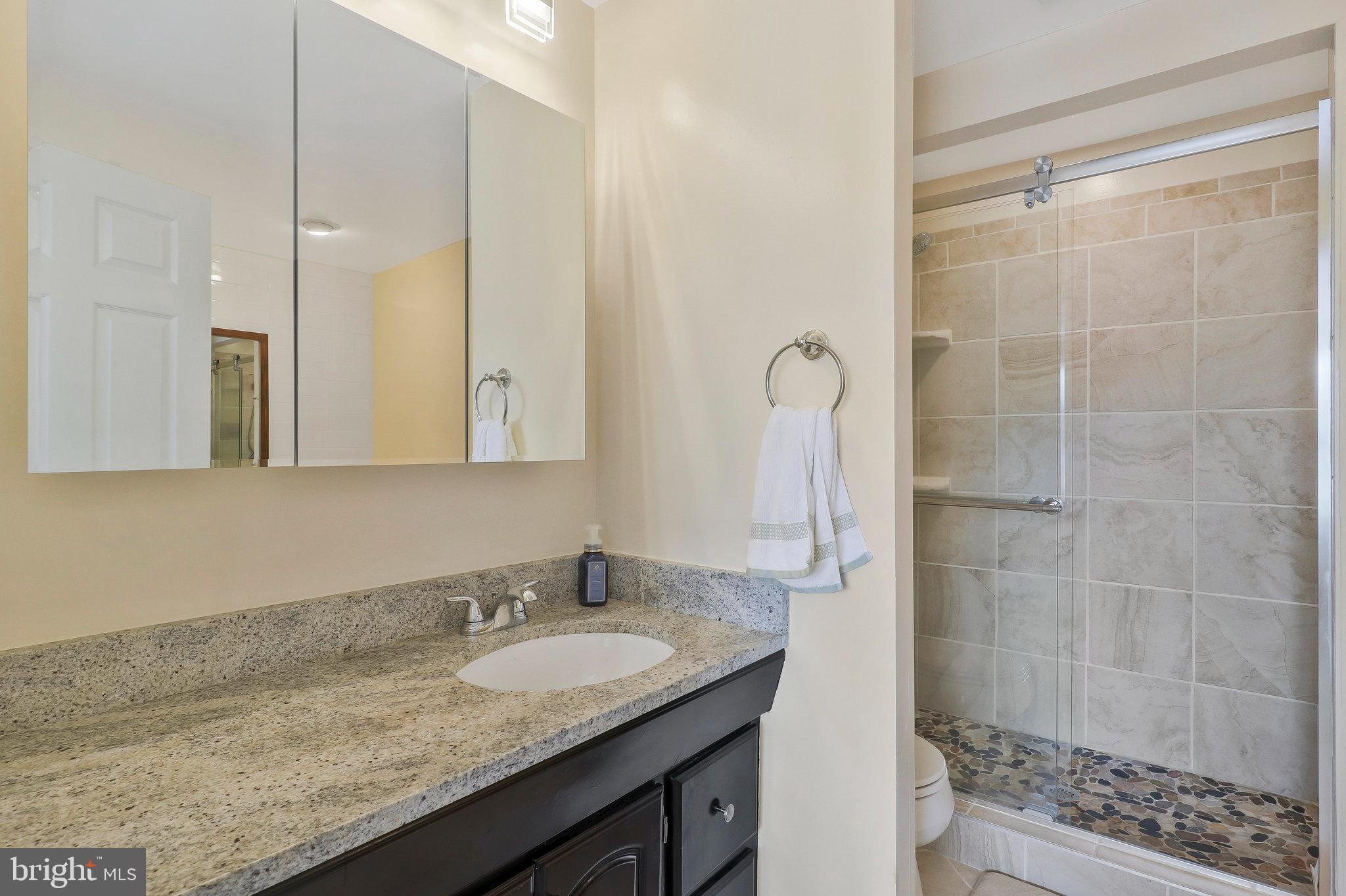 7900 Spring Forest Court Springfield, VA 22152 - Photo 33 of 45 Primary Full Bath