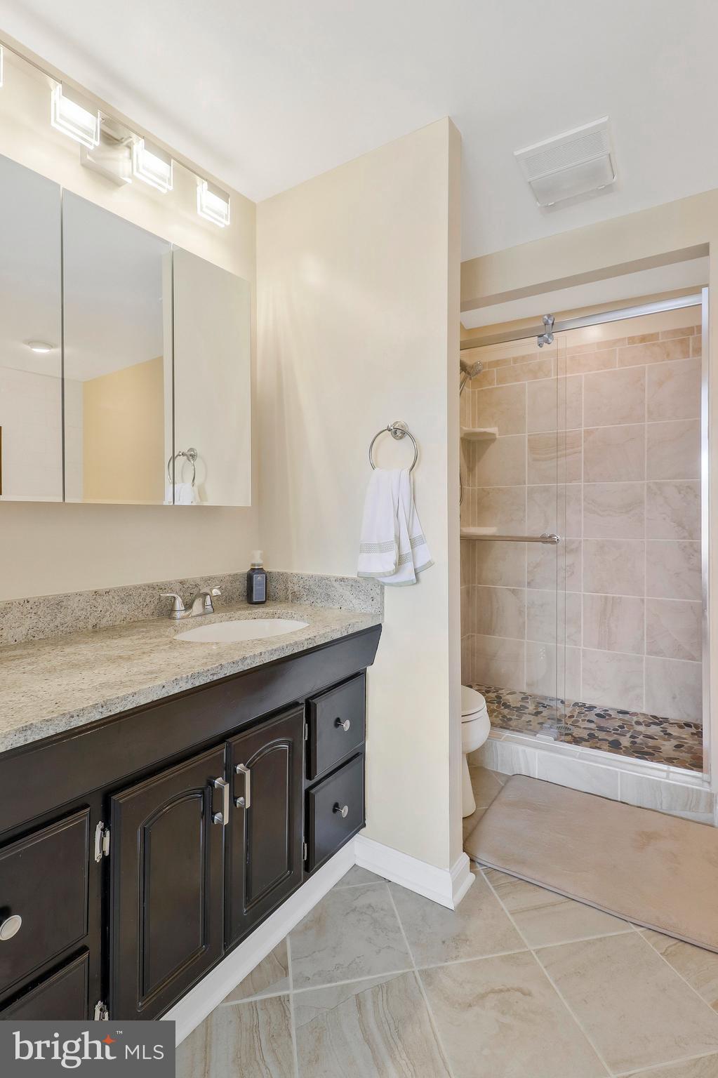 7900 Spring Forest Court Springfield, VA 22152 - Photo 34 of 45 Primary Full Bath