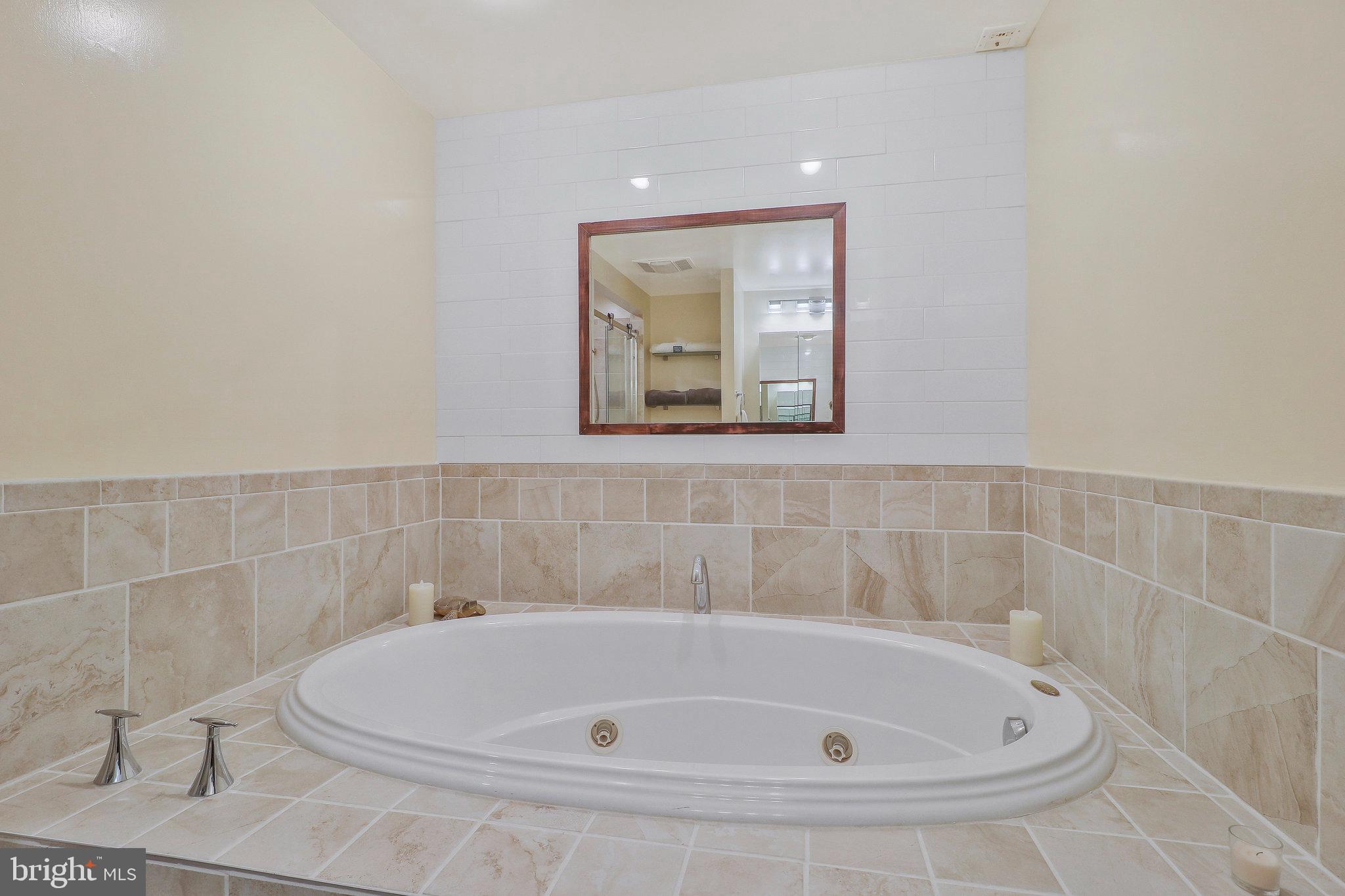 7900 Spring Forest Court Springfield, VA 22152 - Photo 35 of 45 Primary Full Bath