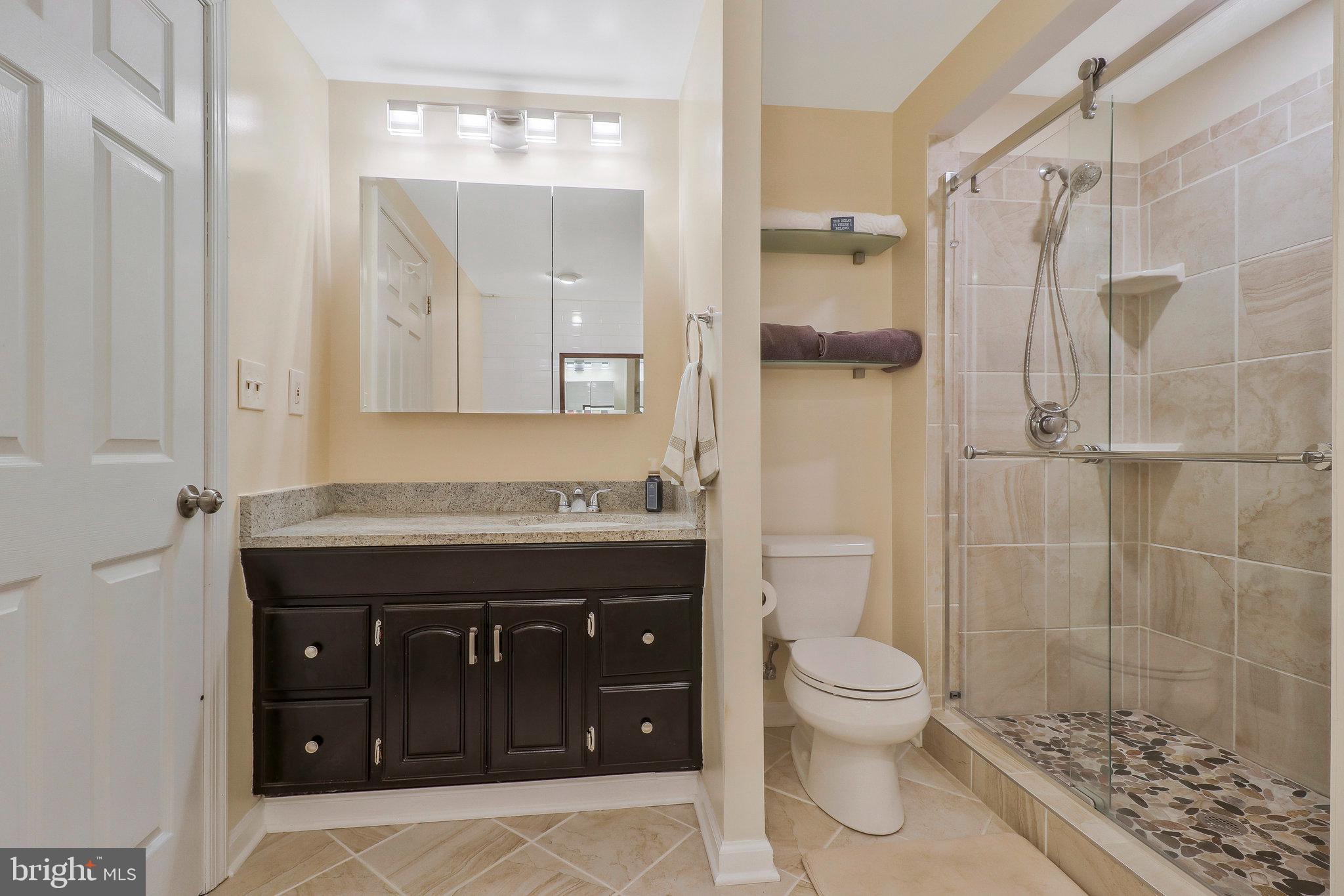 7900 Spring Forest Court Springfield, VA 22152 - Photo 37 of 45 Primary Full Bath