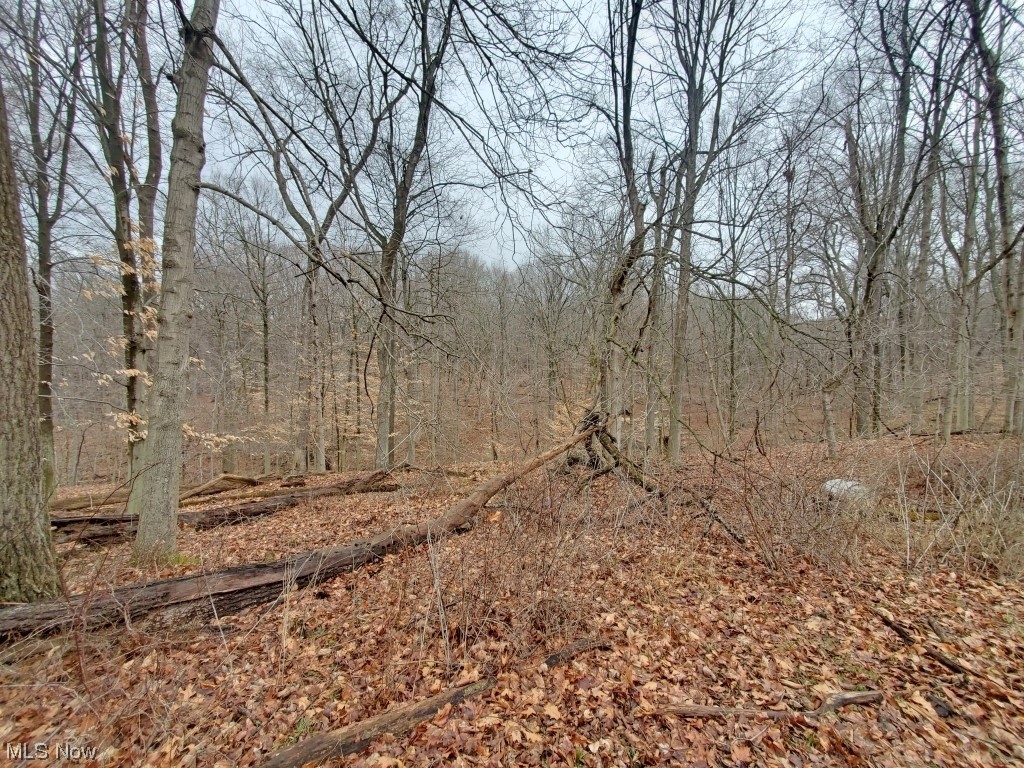1357 Sand Ridge Road Zanesville, OH 43701 - Photo 48 of 50 View of local wilderness