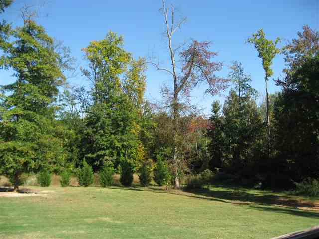 3569 Ballenger Road Greer, SC 29651 - Photo 13 of 15
