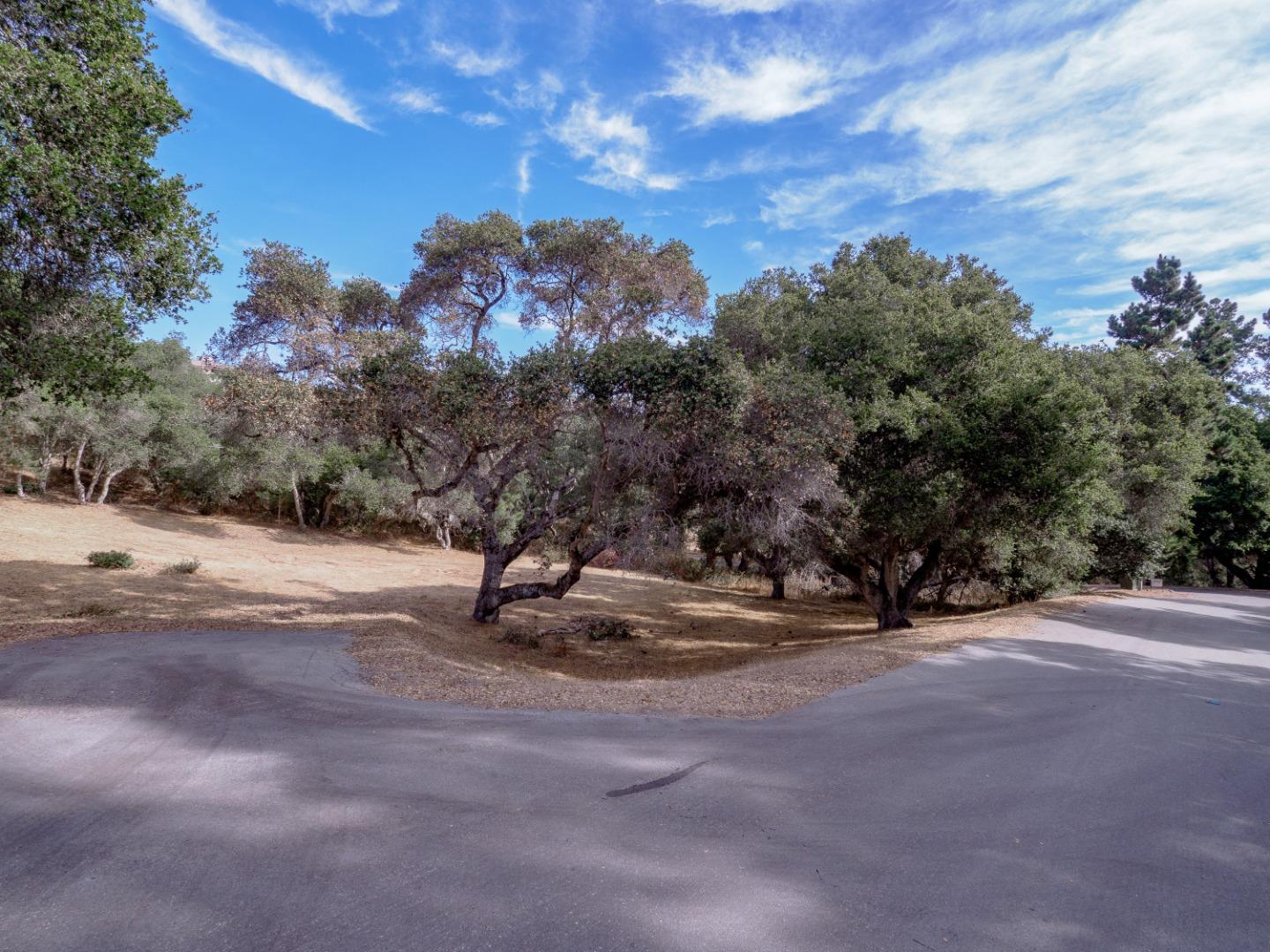 8730 Eagles Roost Road Salinas, CA 93907 - Photo 2 of 12 a view of a yard with a tree