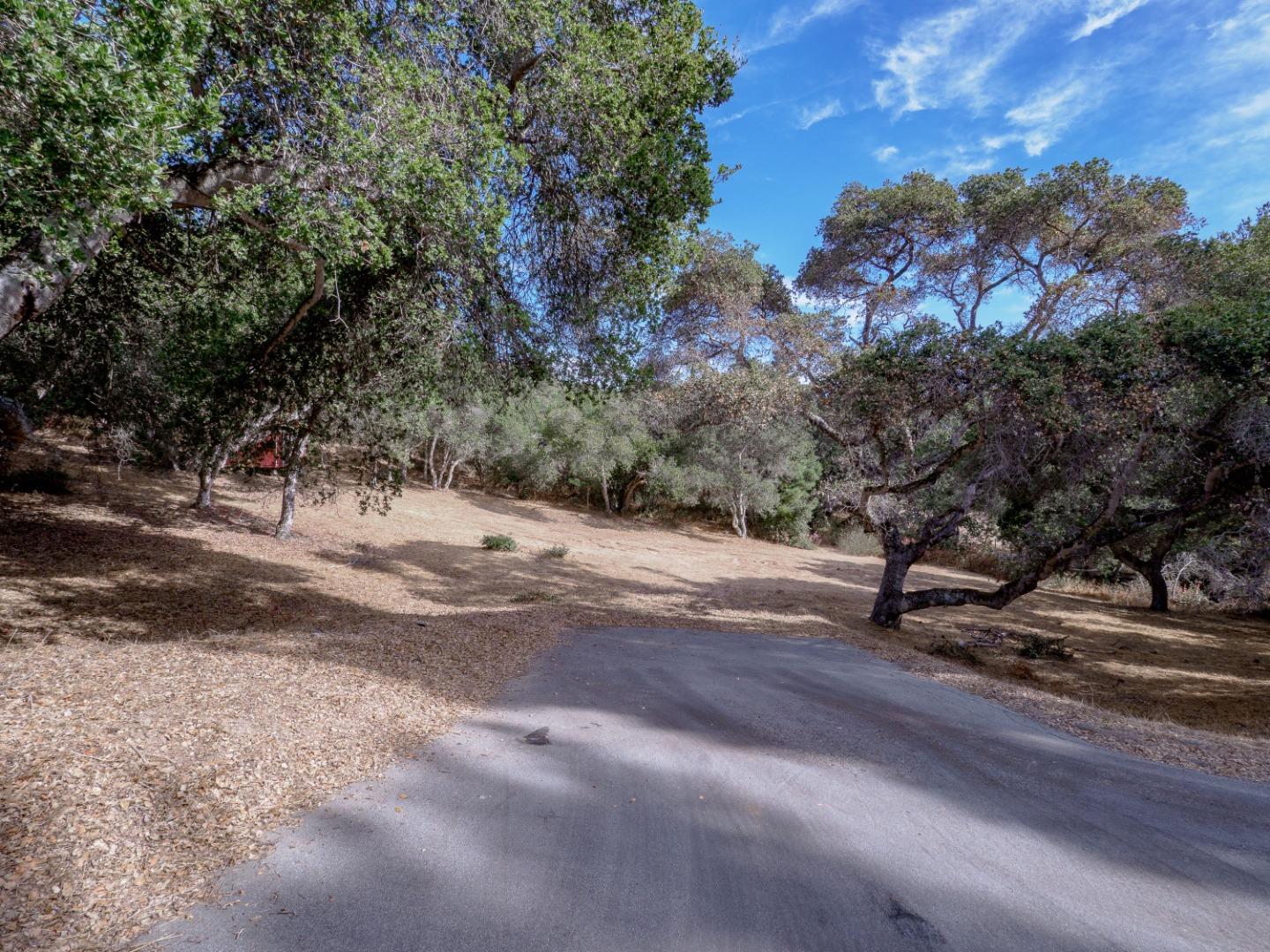 8730 Eagles Roost Road Salinas, CA 93907 - Photo 3 of 12 a view of a yard with a tree