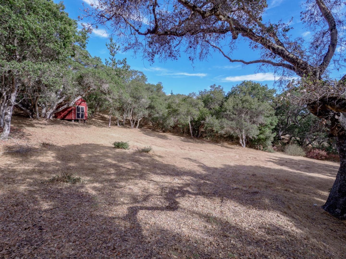 8730 Eagles Roost Road Salinas, CA 93907 - Photo 4 of 12 a view of a yard with a tree