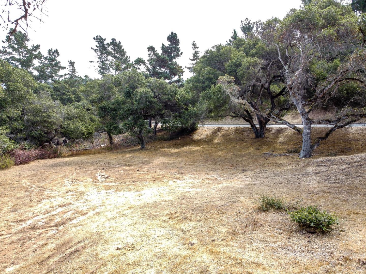8730 Eagles Roost Road Salinas, CA 93907 - Photo 7 of 12 a view of a yard with a tree