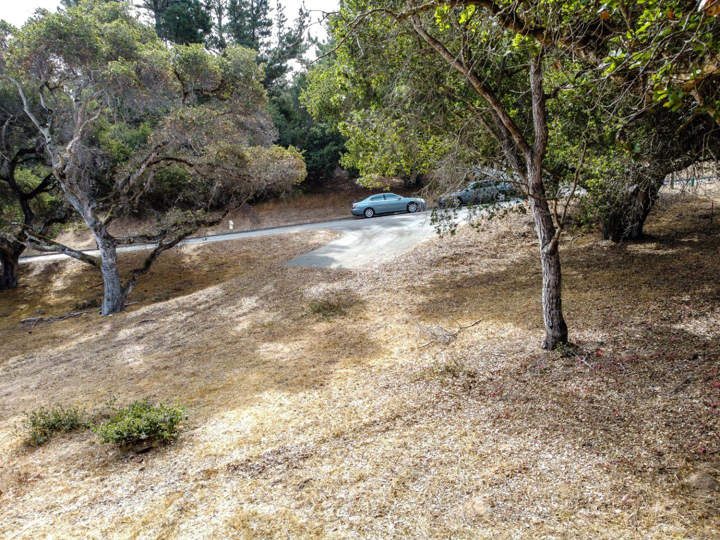 8730 Eagles Roost Road Salinas, CA 93907 - Photo 8 of 12 a view of a trees with a tree