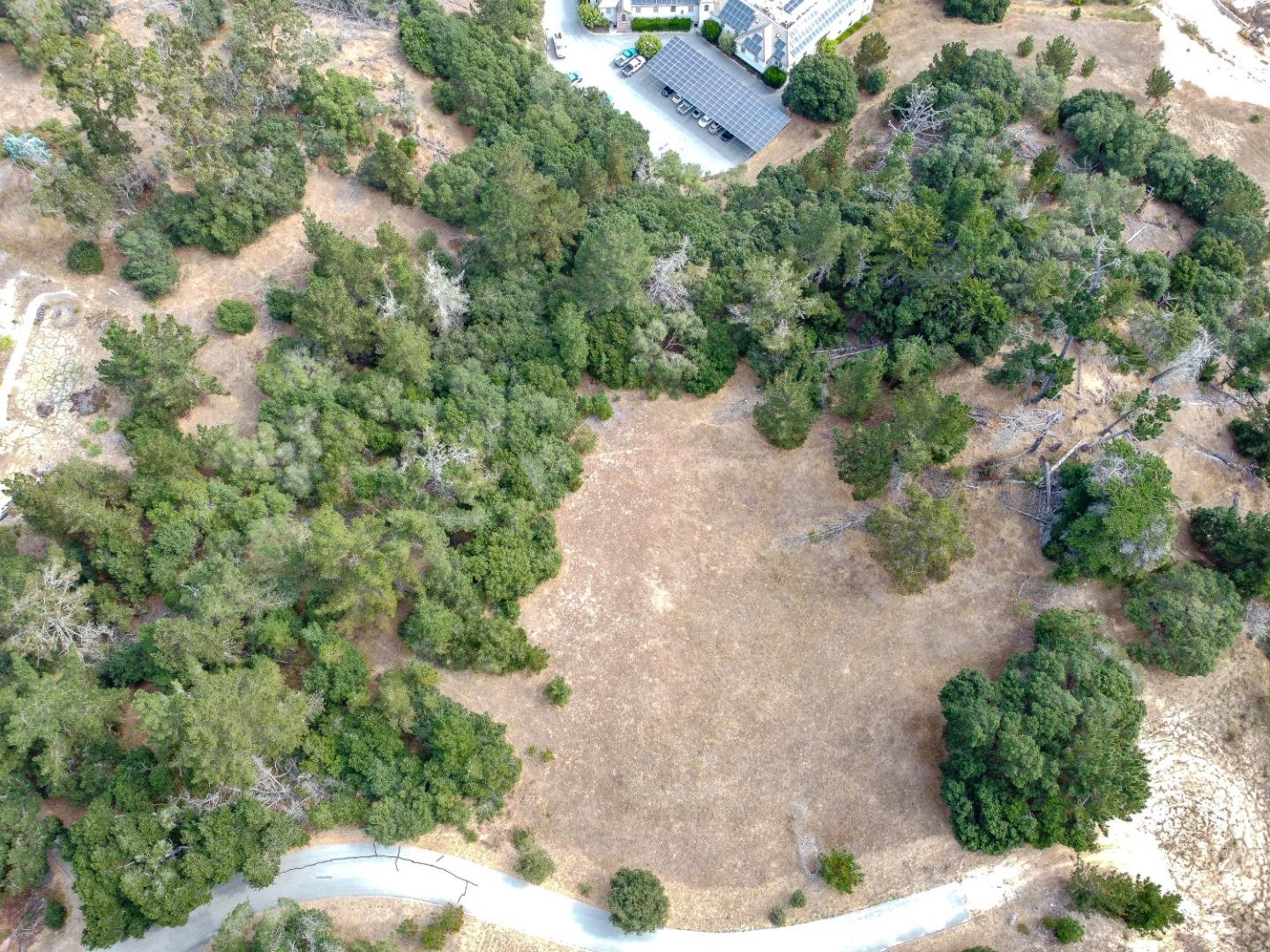 8730 Eagles Roost Road Salinas, CA 93907 - Photo 10 of 12 a view of a yard with plants and large trees