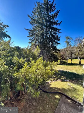 a view of a yard with an trees