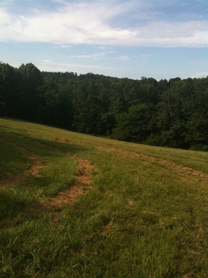 1386 Mercer Road Bowling Green, KY 42101 - Photo 6 of 13 Gallery Image 6