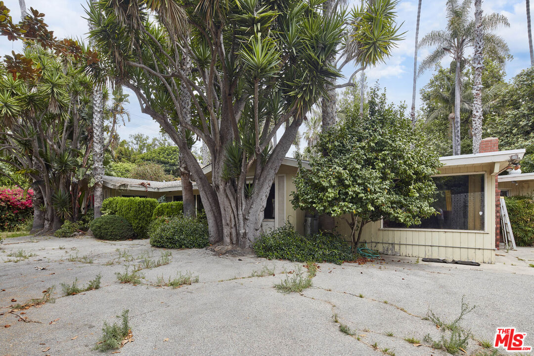 6414 Bonsall Drive Malibu, CA 90265 - Photo 11 of 75 a view of a house with a tree in front