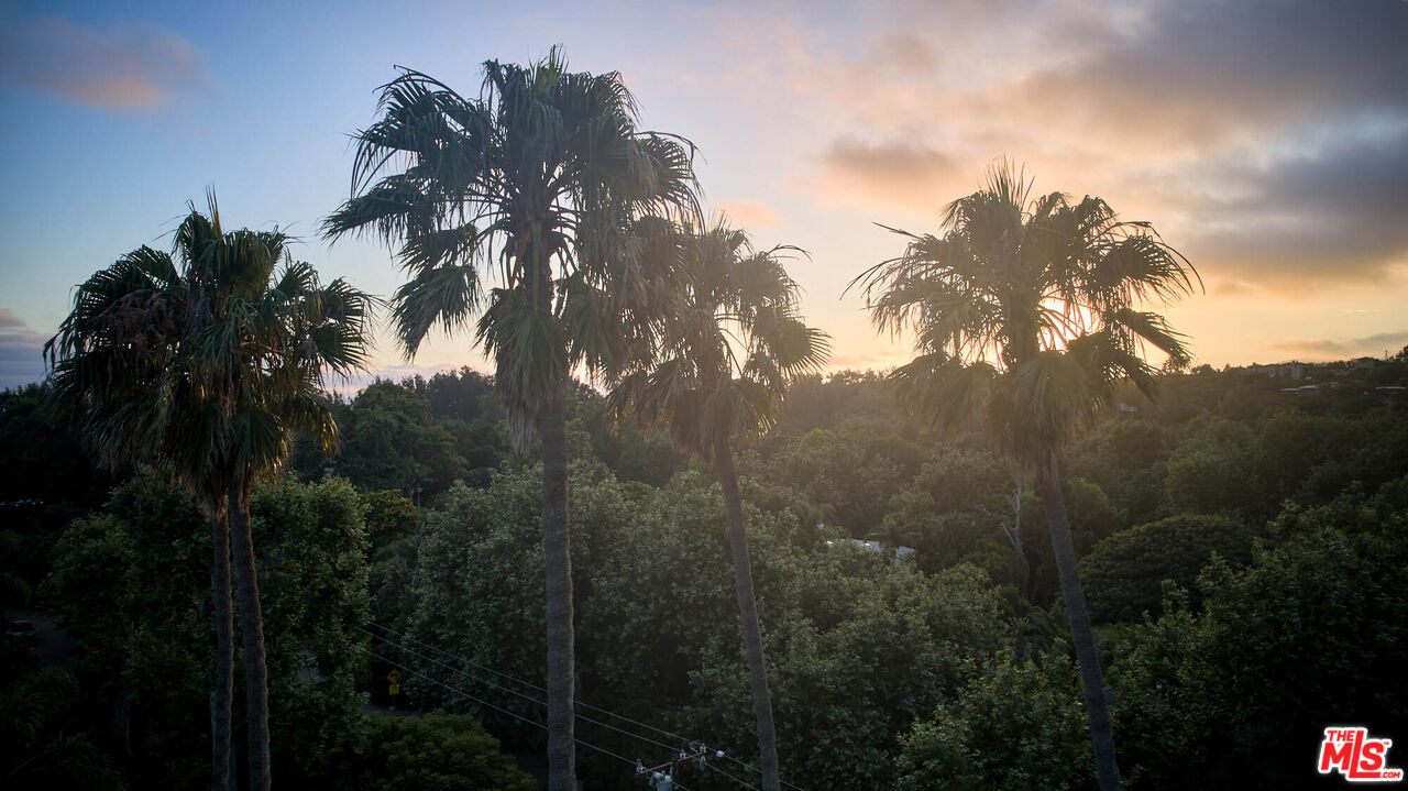 6414 Bonsall Drive Malibu, CA 90265 - Photo 71 of 75 a view of a tree in front of a house