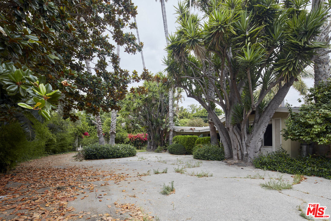 6414 Bonsall Drive Malibu, CA 90265 - Photo 10 of 75 a view of a out door space area