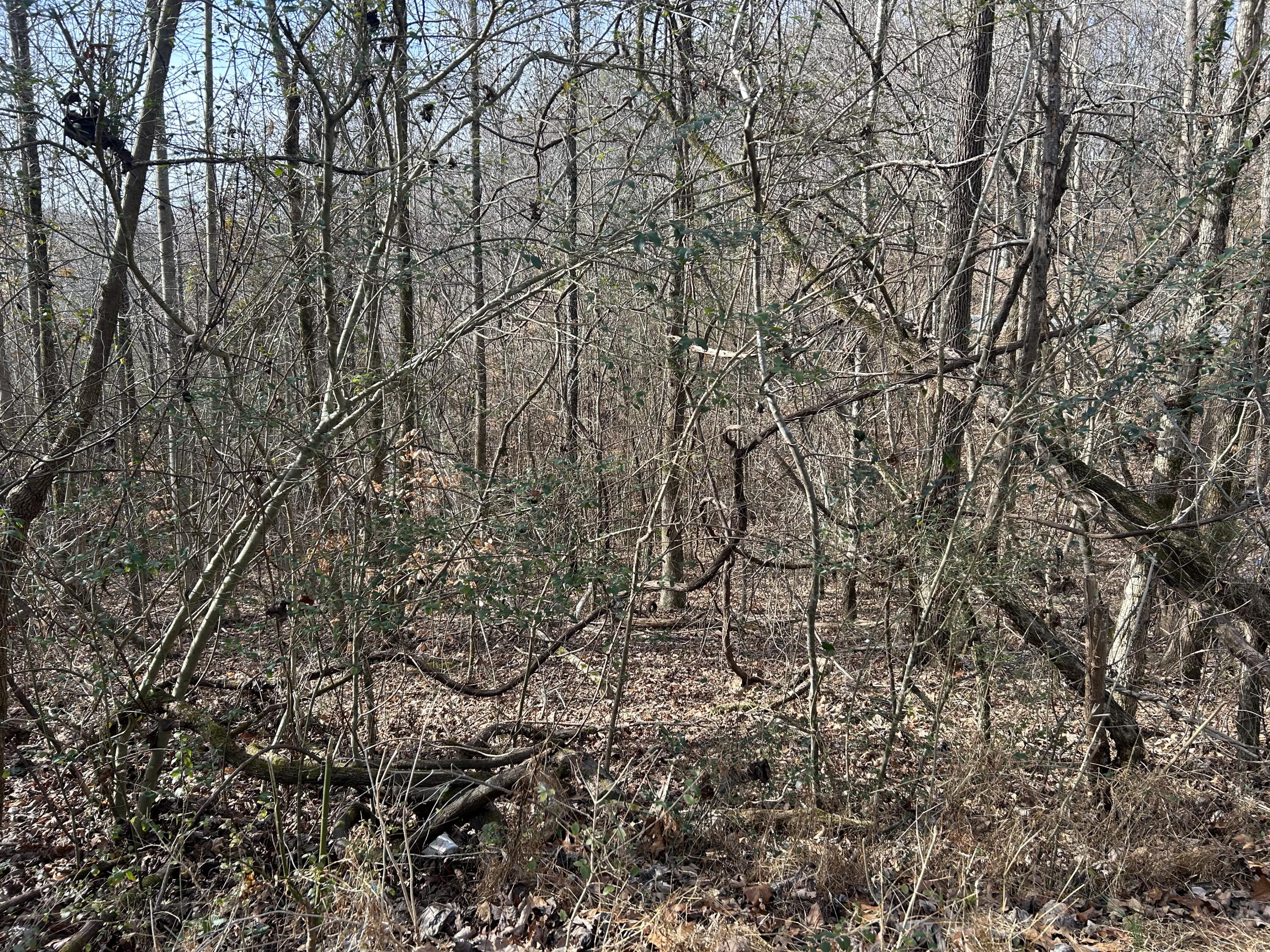 1094 Rhea County Highway, Unit LOT 9 Dayton, TN 37321 - Photo 3 of 8 55715900-9956-4B91-B4D0-526D4386700B