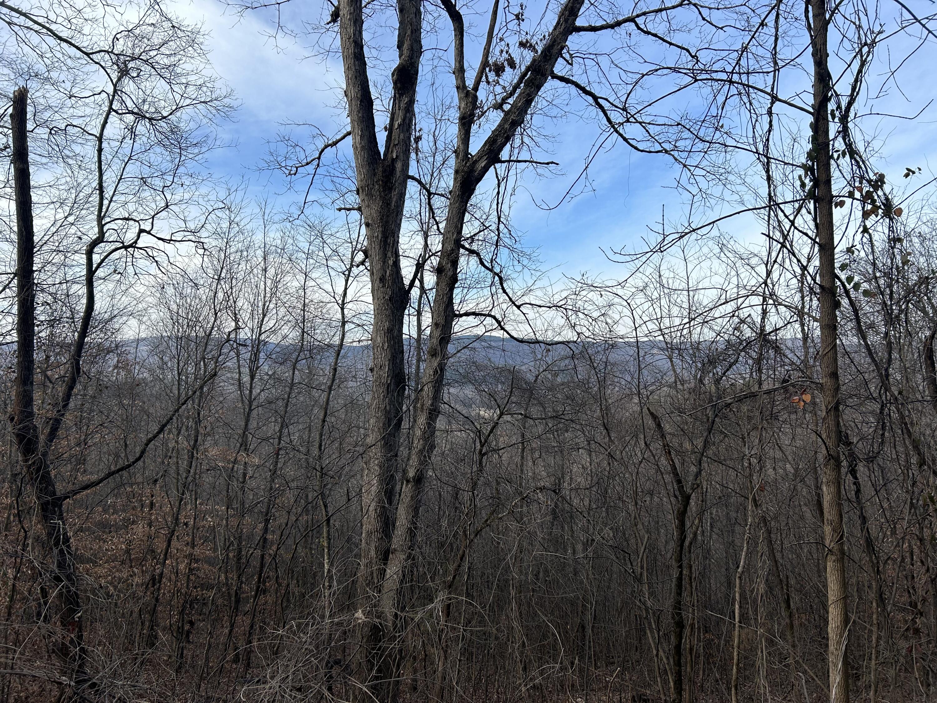 1094 Rhea County Highway, Unit LOT 9 Dayton, TN 37321 - Photo 4 of 8 25CB3B7A-7376-437E-A23C-D3082550AC3E