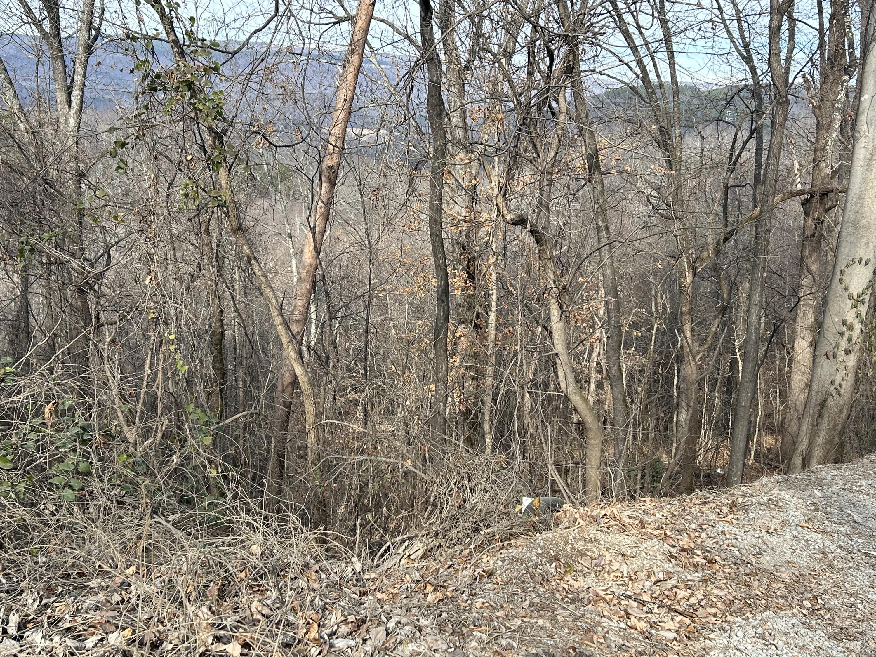 1094 Rhea County Highway, Unit LOT 9 Dayton, TN 37321 - Photo 8 of 8 0102ACBF-663B-472E-B070-42EE1CC7252D